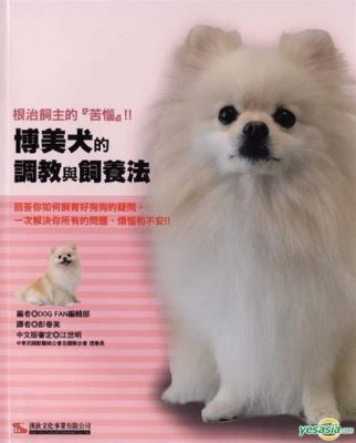 怎麼預防博美心臟病：博美犬的健康守護指南